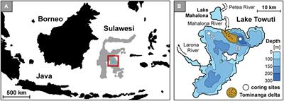 Preservation and Significance of Extracellular DNA in Ferruginous Sediments from Lake Towuti, Indonesia